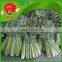 Fresh Vegetables, Lettuce, Cabbage, Carrot, Eggplant, Tomato, Cucamber, CeleryOnion