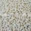 Factory supply kinds of white kidney beans from China with cheap price