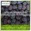 frozen fruit blackberry