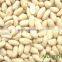 Chinese Peanut In Shell 2016 Crop High Quality