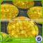 new crop Chinese canned yellow peach slice 12*820g