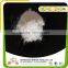 Sell Powder Monosodium Glutamate