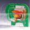Various Acrylic Sheet Custom Clear/colorful Acrylic Fish Mini Jar/Tank For Office/home decor Made In China