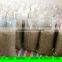 2014 Inner Mongolia Pumpkin Seed Kernels