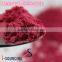 high quality natural mica pearl pigment for wall paint
