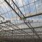 PE Material AL Frame Horticultural Commercial Green House