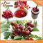hot sale Full automatic industrial cherry sauce maker machine high viscosity Production Line rose paste