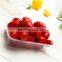 750ml transparent plastic container rectangular with lid