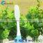 New China Product For Sale Oral Care Label Hotel Toothbrush