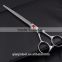 Professional salon for a haircut scissors Stainless steel
