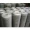 Hot-dipped Galvanized Welded Wire