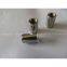Stainless steel thin head rivet nut