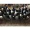 90 LR Elbows A234 WPC butt welded pipe fitting