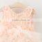 Hot Sale Queen Pink Petal Color Chiffon Sleeveless Sweet V Collar Lace Dress Kids Backless Birthday Party Outfit