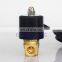 Underwater waterproof solenoid valve brass 1/8 1/4 3/8 inch Normally close 2W025-06/08 2W040-10 2 way Fountain solenoid valve