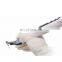 MY-M038-2 medical dental supplies dental wireless root canal treatment endo motor endodontic instruments