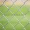 Electro Galvanized Chain Link Fence     Hot Dipped Galvanized Chain Link Fence      chain link mesh