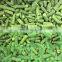 Sinocharm BRC A Approved 3-5cm IQF Frozen Green Bean Cut