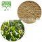 20:1 Fructus Sophorae extract powder for drinking usage