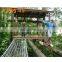 Adventure Outdoor Playground Jungle Wooden Theme Jungle Gym Playground