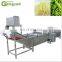 sesame washing and drying machine/sesame cleaning and grading machine/rice wheat seed cleaning machine