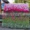 3ft x 6ft Finished Ombre Rose Flower Wall for Wedding