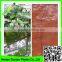 Supper hdpe extruded net tomato /cucumber plant support net