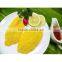 high capacity low consumption stainless steel nutritional Bread Crumbs making Machines/bread crumbs machines
