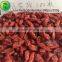 wild black goji berry goji juice