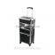 Hairdresser trolley case rolling suitcase pilot makeup aluminum trolley case JH517
