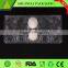 High transparent 10 ct PVC/PET egg packaging cartons eggs tray
