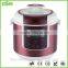 Delux Multi Pressure Cooker CY-A60