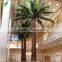 Indoor preserved washingtonia palm tree fake tropical big palm tree