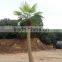 Artificial Outdoor Coconut Palm Tree for Landscaping Decor