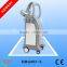Beir Two handles Criolipolisis /coolshape body slimming machine BRG80s/More advanced than liposuction, fat melting technology