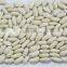 Cninese Small white kidney beans for sale