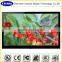 manufacture ! 26" metal case lcd cctv monitor with BNC/VGA/HDMi + Ypbpr/vebs