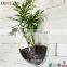 new design fashion round acrylic aquarium