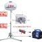 Balloon Light tower with portable generator