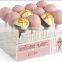 Acrylic Cake Pop Stand w/ Sign Holder, 12 Stick Capacity - Clear(PS-B-147)