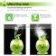 Household steam perfume diffuser GL-1156