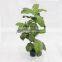 cheap artificial big leaves pant trees plastic trunk bonsai