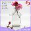 Set of glass aroma diffuser bottle