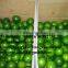 FRESH SEEDLESS LIME