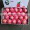 China Yantai Best Price Fuji Apple