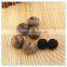 Odorless Black Garlic Extract Powder Natural Garlic Extracts Powder