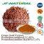 Grape seed extract high content opcs manufacture ISO, GMP, HACCP, KOSHER, HALAL certificated