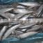 tropical fish exporters of sardine