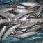 fish sardine wholesale for bait