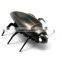 2014 hottest IR RC insect toy, electronic mini insect toy for kids fun